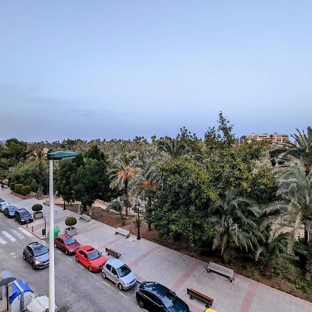 Comunidad Valenciana 31 Έλτσε Εξωτερικό φωτογραφία